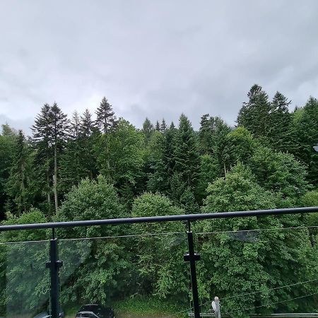 Apartament Dwupoziomowy Z Klimatyzacja Krynica-Zdrój Exterior foto