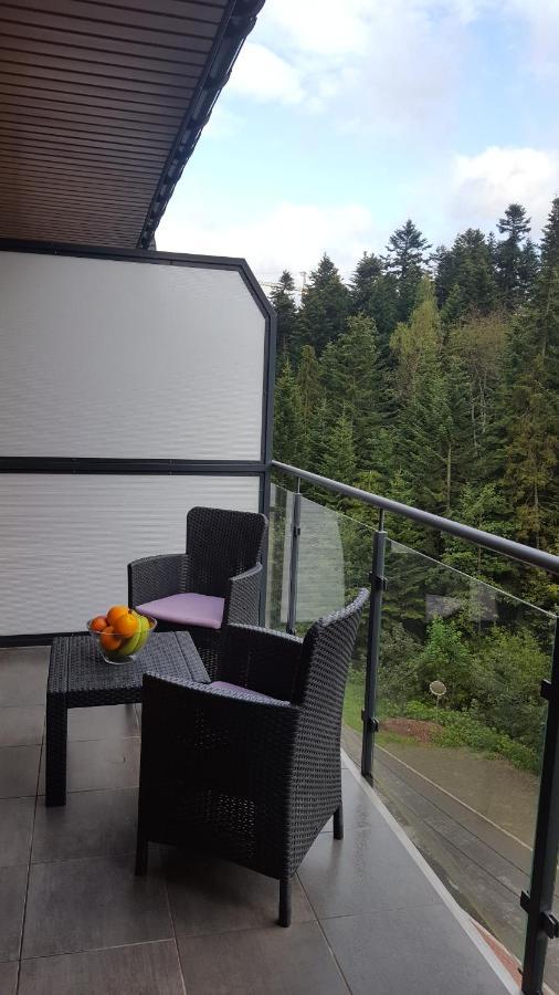 Apartament Dwupoziomowy Z Klimatyzacja Krynica-Zdrój Exterior foto